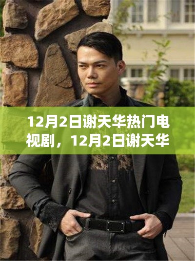 深度探讨，谢天华热门电视剧的影响力与争议