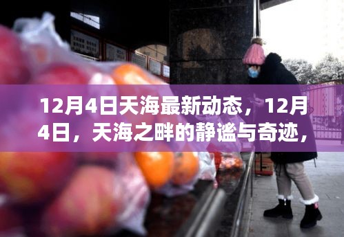 天海之畔的静谧与奇迹，探寻内心平静的旅程——最新动态报告（12月4日）