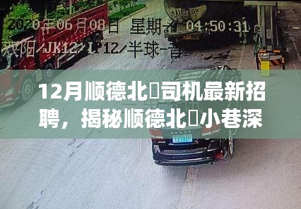 一枝独秀 第6页