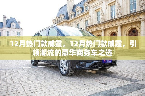 引领潮流的豪华商务车之选，12月热门款威霆