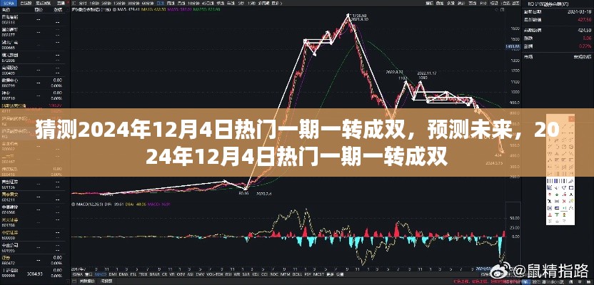 预测未来，2024年12月4日热门一期一转成双揭秘