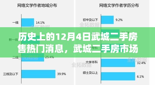 历史上的12月4日武城二手房市场火爆现象解析与热门消息回顾