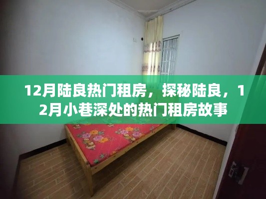 探秘陆良，十二月小巷深处的热门租房故事