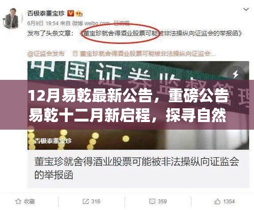 龙飞九五 第5页