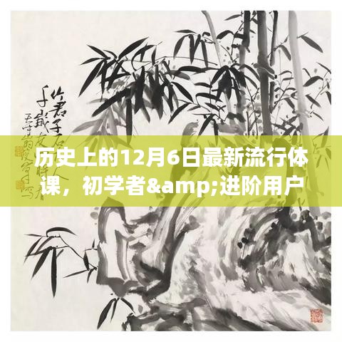 历史上的12月6日，最新流行体课入门指南，适合初学者与进阶用户体验提升课程