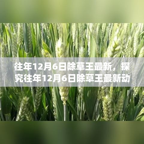 雅量高致 第5页