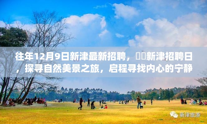 往年12月9日新津最新招聘日，探寻自然美景之旅，寻找内心的宁静与平和