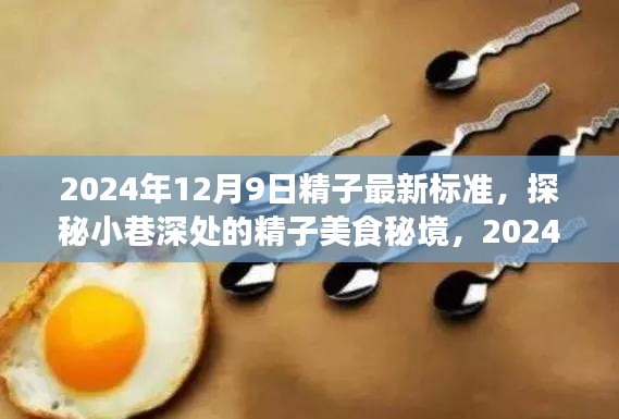 2024年12月9日精子最新标准，探秘小巷深处的精子美食秘境，2024年最新标准下的独特风味体验