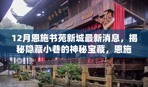 12月恩施书苑新城最新消息，揭秘隐藏小巷的神秘宝藏，恩施书苑新城十二月最新消息