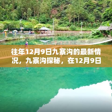 揭秘往年12月9日九寨沟最新情况，探秘之旅，阳光下的宁静巨献