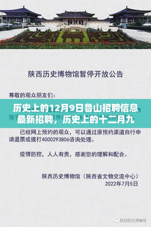 历史上的12月9日鲁山最新招聘信息汇总