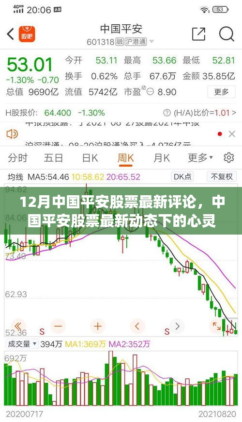 中国平安股票动态更新，心灵与自然共舞，探寻内心平和之境
