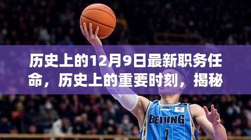 乌鸟之情 第5页
