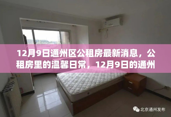 12月9日通州区公租房最新动态，温馨日常与小趣事