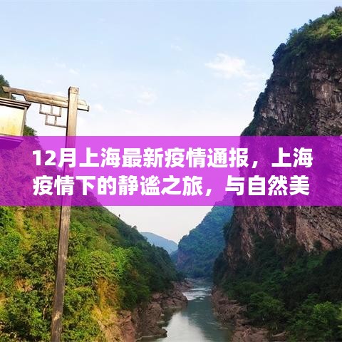 鸟之将死 第5页