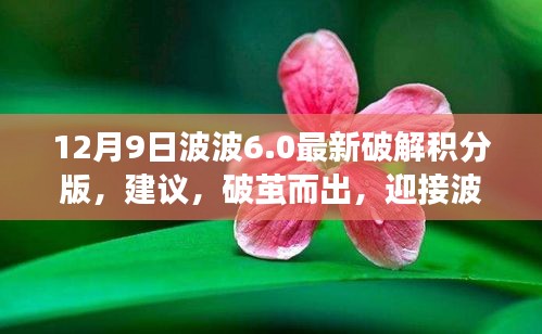 雍容雅步 第4页