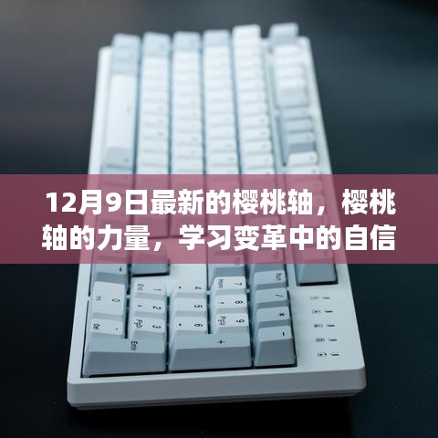樱桃轴的力量，自信成长之旅，学习变革的启示之路