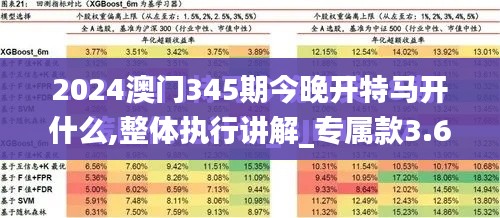 2024澳门345期今晚开特马开什么,整体执行讲解_专属款3.618