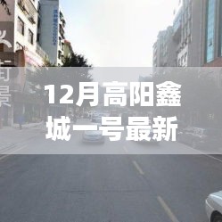 物稀为贵 第5页