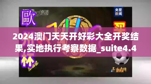 2024澳门天天开好彩大全开奖结果,实地执行考察数据_suite4.461