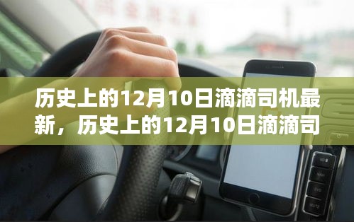 张灯结彩 第5页