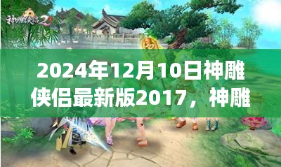 神雕侠侣最新版2017游戏攻略，从新手到高手的升级之路（2024年最新版）