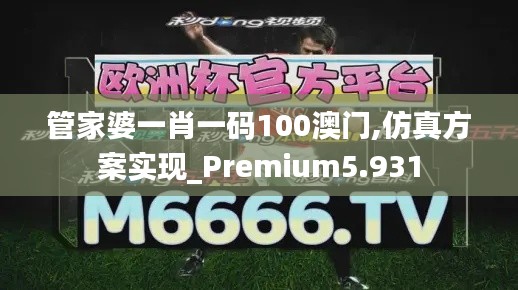 管家婆一肖一码100澳门,仿真方案实现_Premium5.931