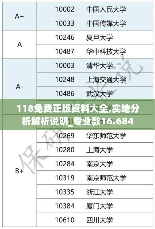 118免费正版资料大全,实地分析解析说明_专业款16.684