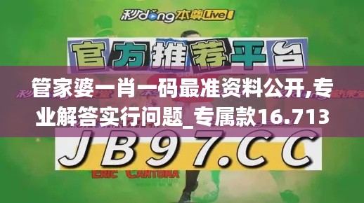 管家婆一肖一码最准资料公开,专业解答实行问题_专属款16.713