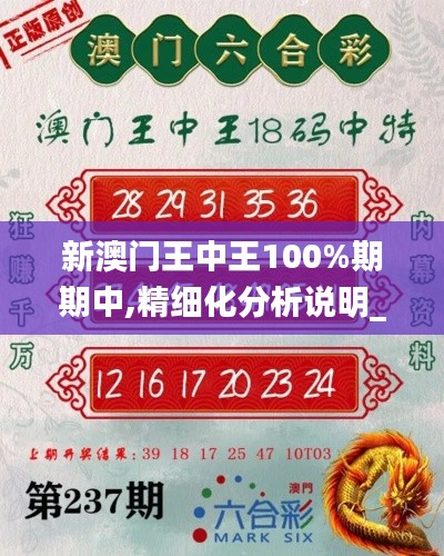 新澳门王中王100%期期中,精细化分析说明_AP11.563