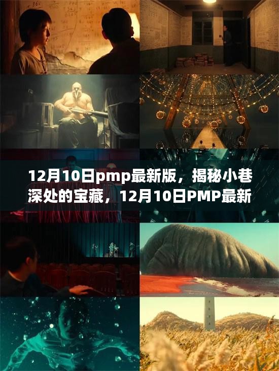 12月10日PMP最新版特色小巷宝藏探秘