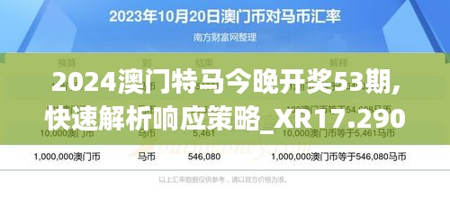 2024澳门特马今晚开奖53期,快速解析响应策略_XR17.290