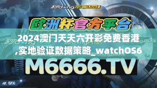 2024澳门天天六开彩免费香港,实地验证数据策略_watchOS6.194