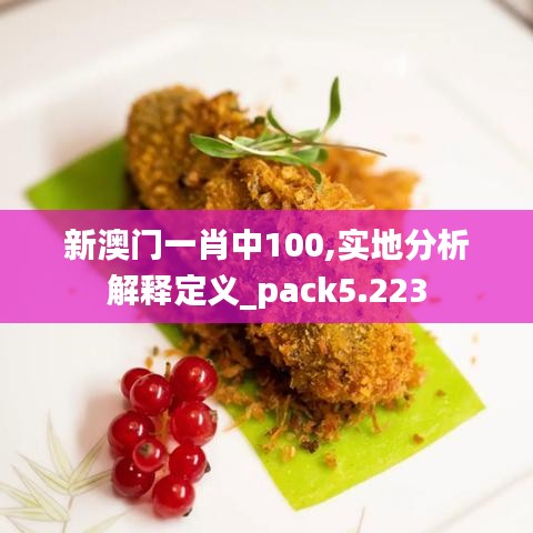 新澳门一肖中100,实地分析解释定义_pack5.223