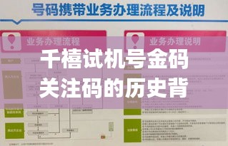 千禧试机号金码关注码的历史背景,权威研究解释定义_特供版11.922