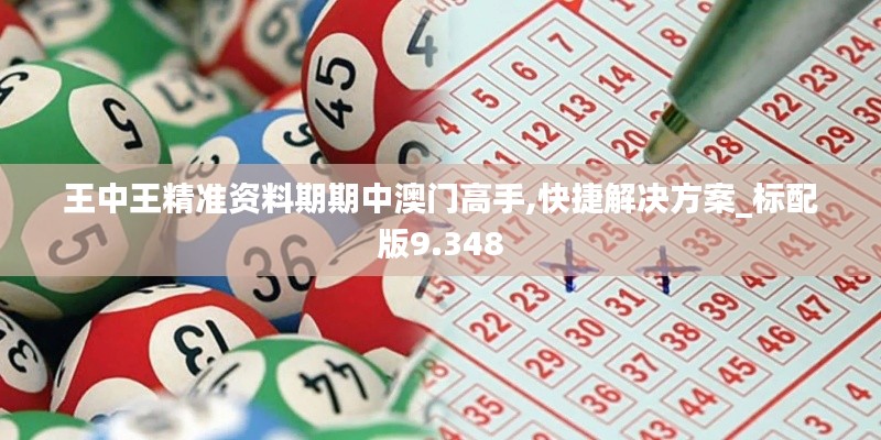 王中王精准资料期期中澳门高手,快捷解决方案_标配版9.348