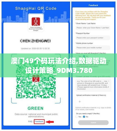 澳门49个码玩法介绍,数据驱动设计策略_9DM3.780