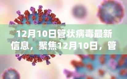 聚焦管状病毒，最新动态与解读（12月10日更新）