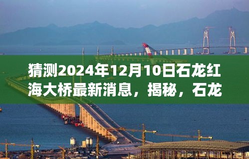 揭秘石龙红海大桥最新进展与未来预测，深度解读2024年12月10日最新消息