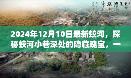 探秘蛟河小巷深处的隐藏瑰宝，特色小店的温馨故事（2024年12月10日最新）