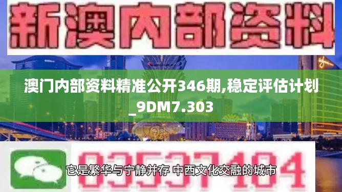 澳门内部资料精准公开346期,稳定评估计划_9DM7.303