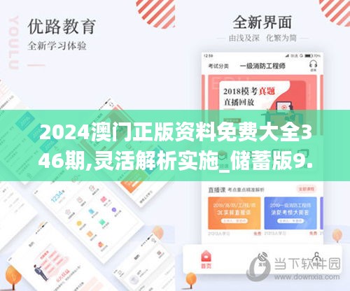 2024澳门正版资料免费大全346期,灵活解析实施_储蓄版9.877