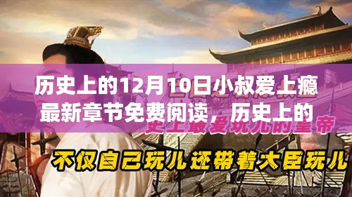 夫妻本是同林鸟 第5页