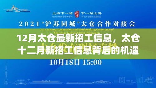 打张鸡儿 第5页