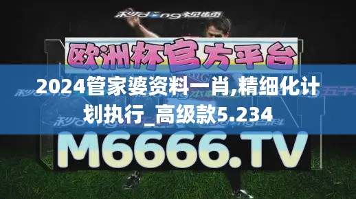 2024管家婆资料一肖,精细化计划执行_高级款5.234