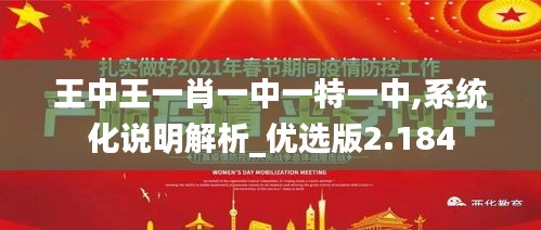 王中王一肖一中一特一中,系统化说明解析_优选版2.184
