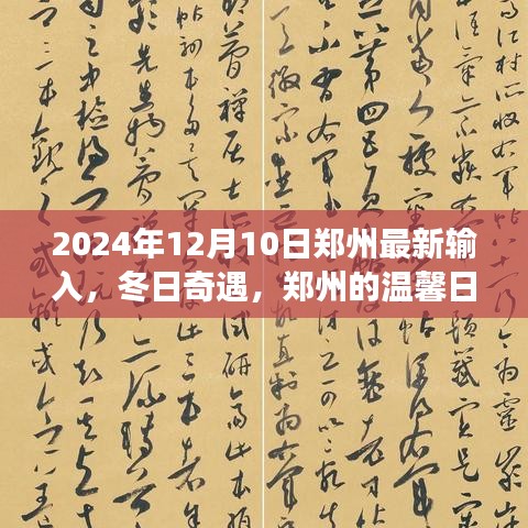 冬日奇遇，郑州友情盛宴的温馨日常