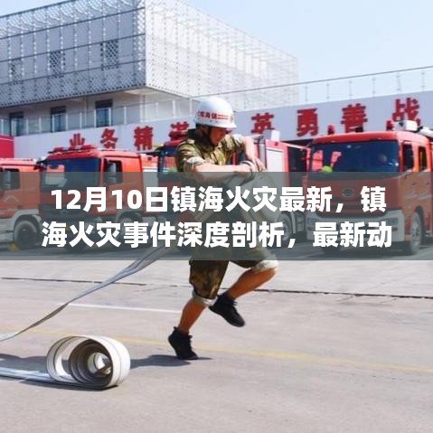 镇海火灾事件深度剖析，最新动态、观点碰撞与个人立场