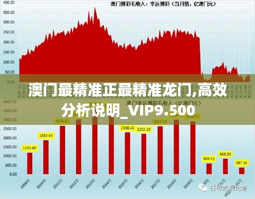 澳门最精准正最精准龙门,高效分析说明_VIP9.500