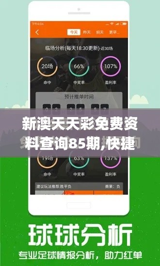 新澳天天彩免费资料查询85期,快捷问题解决指南_高级版3.740
